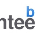 bv-logo2.jpg